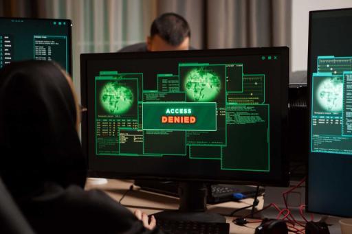 How to Protect Your Software Business from Ransomware and DDoS Attacks