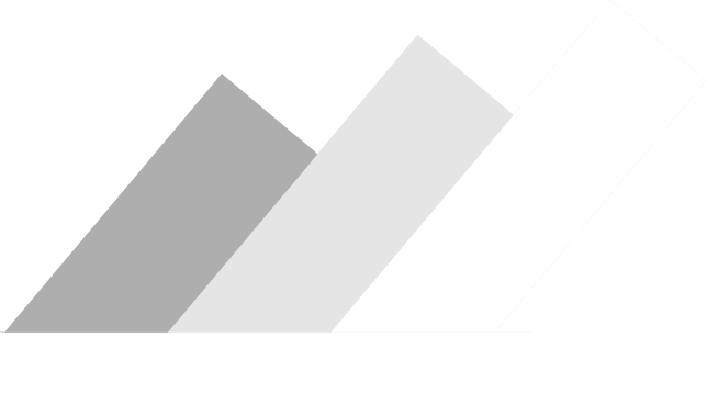 WebSeller logo